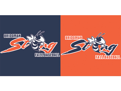 Bridgman Sting baseball bee blue bridgman orange sportswear tee shirt