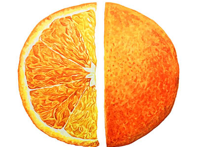 Watercolor Orange citrus fruit illustration fruits orange watercolor