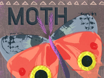 Moth bright design illustration moth nature pop texture