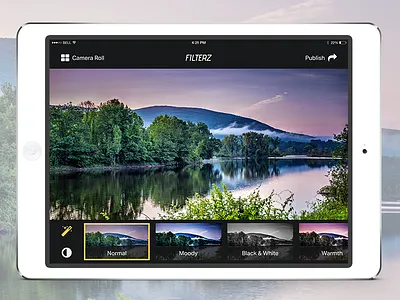 UI Element Challenge -- Day 034 Photo Filter App app daily daily challenge mobile app photo photo editing photo filter photo filter app tablet tablet app ui ui design