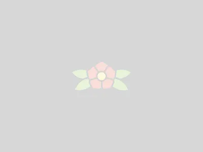 Flowa Powa design flat flower icon illustration petals rose