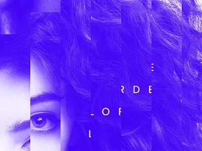 Spotify: Found Them First