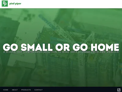 Pied Piper branding marketing pied piper ui web website