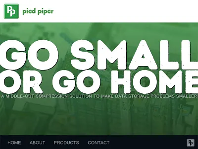 Pied Piper Mobile branding marketing mobile ui web website