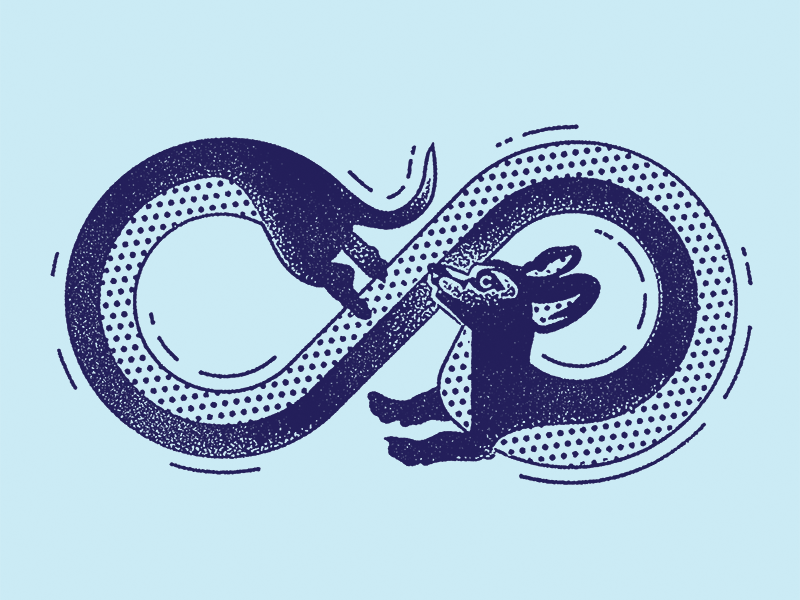 Example of Infinidoxie