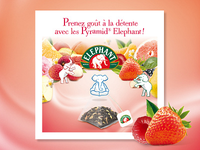 Elephant branding clean color design font food fruits modern print tea typography