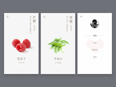 探鲜 app design