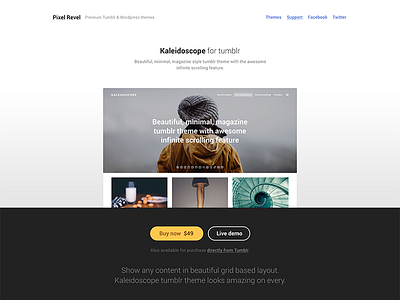 New Pixel Revel minimal theme themes tumblr tumblr theme web web design webdesign wordpress wordpress theme