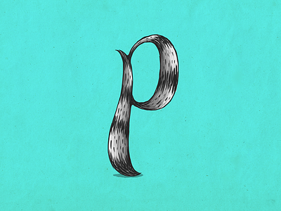 Raccoon p alphabet coon custom type illustration lettering mapache p raccoon type typography