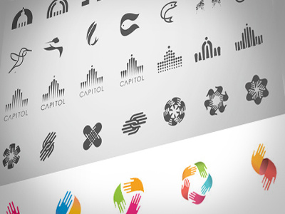 Logo Development bird branding capitol capspecialty color connected hands team