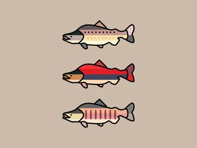 Salmon - Reel and Cast castandreel chum colors fish fromthefieldnotes inthewater outdoors overlays pink salmon shapes sockeye