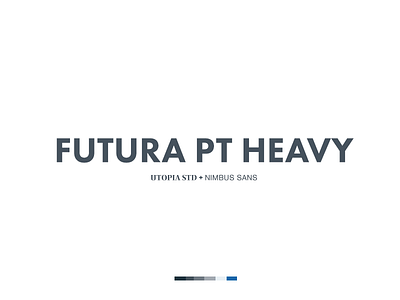 Type Combo branding type type combo typography wierstewart