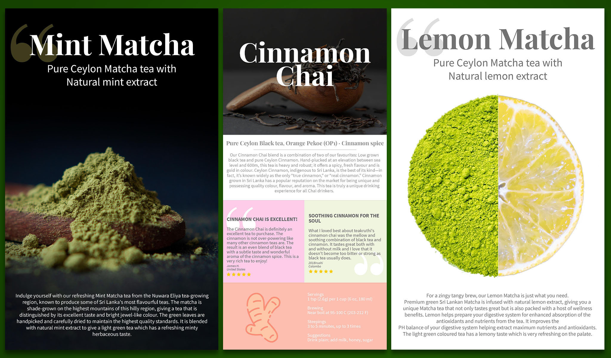 Example of Newsletter Designs