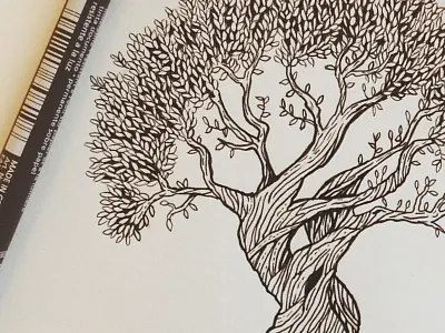 Olive branding draw handmade handrawn illustration oldschool vintage