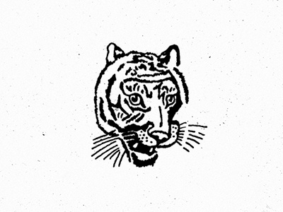 Tiger Sketch