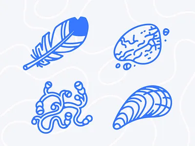Beach Finds beach feather icons illustrations plant rock shell vector 🌴