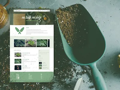 Ons Tuintje earth fermented vegetables food fruit fruits and vegetables garden gardening green green vegetables plants terra vegatables