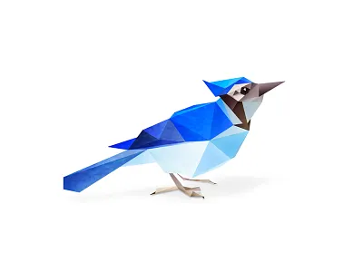 Blue Jay. animal animals bird birds blue jay cute animals low poly low polygon photoshop photoshop cc vector vector art