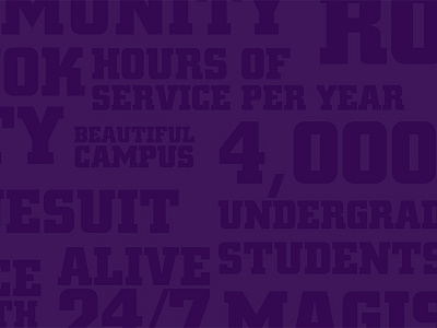 The University of Scranton Cover Photo collage fun purple scranton words