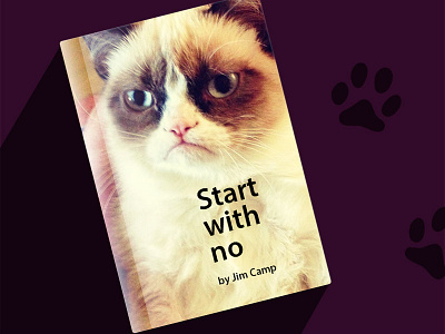 Unserious cover for serious book book cat cover fun jim camp no start