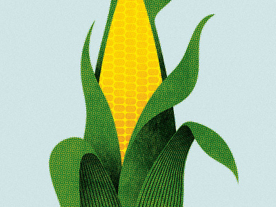 129 corn