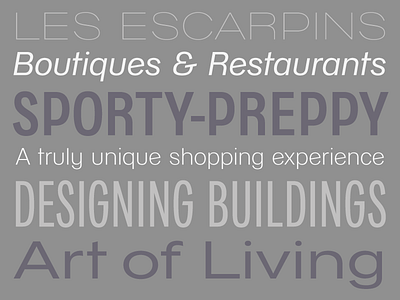 4 widths neogroteskogeometric family delivered bespoke font paris sanserif typeface weights width zecraft