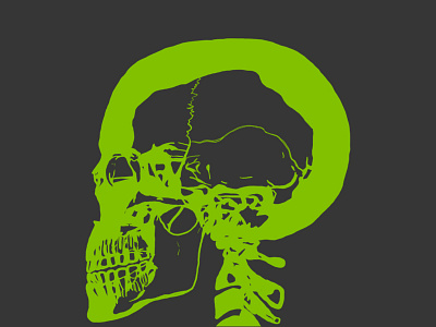 Green Skull drawing green illustration skeleton sketch skull tablet wacom