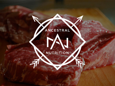 AN Logo branding health icon identity logo nutrition stamp type wellness