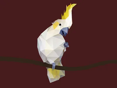 Cockatoo. animals bird cockatoo cute animals low poly low polygon parrot photoshop photoshop cc vector vector art