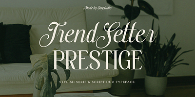 Trendsetter Prestige branding branding font canva font chic font combination font display display font duo font duo typeface elegant font elegant script fashion font font font duo fonts luxury font luxury script modern font typeface wedding font