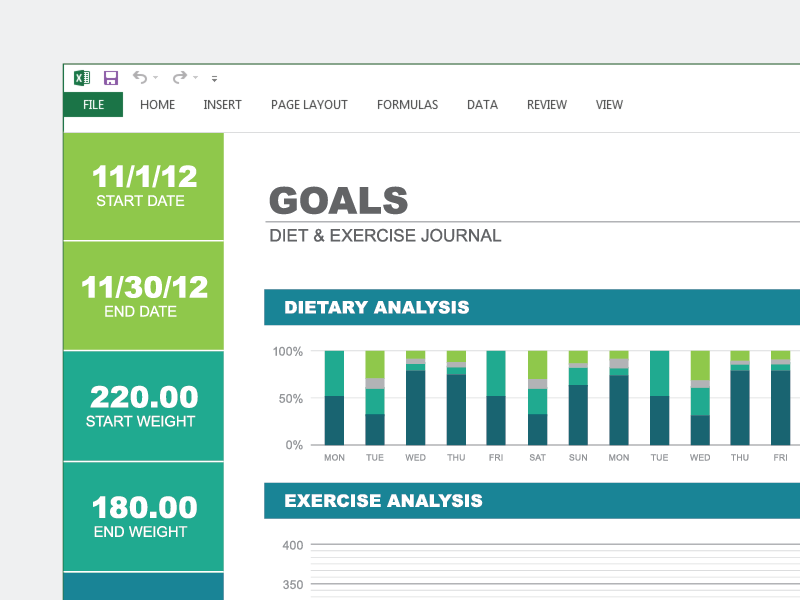 Excel Template diary excel exercise graph journal microsoft tracker