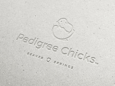 Pedigree Chicks - Logo art beaver cardboard chicks keystone line pedigree pressed springs