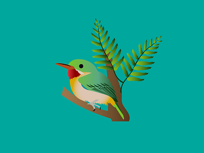 Tody birds design elyunque illustration puertorico