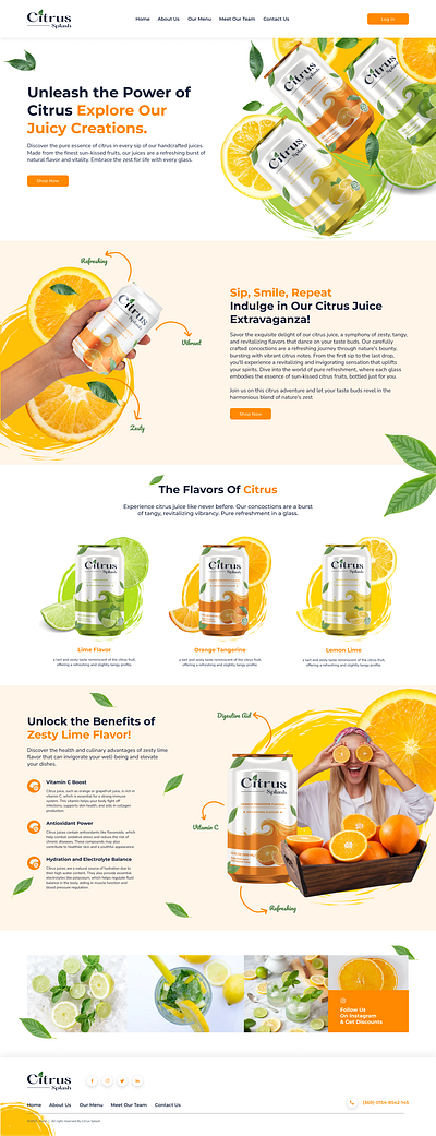 Citrus Splash Website Design branding design graphic design illustration logo typography ui website