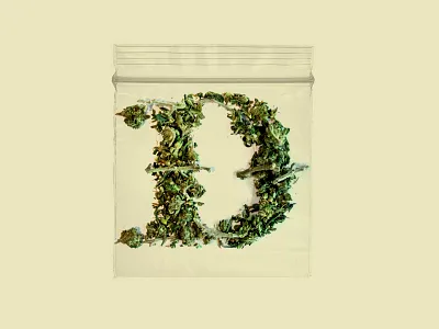 "organic" D bag d dank dime fight oregano type type fight weed