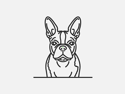 Boris animal avatar boston terrier character clean dog illustration line minimal pet terrier