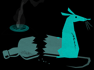 Rat after effects animation gif joern westhoff motion graphics rat
