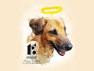 Edgar dog illustration photography poster