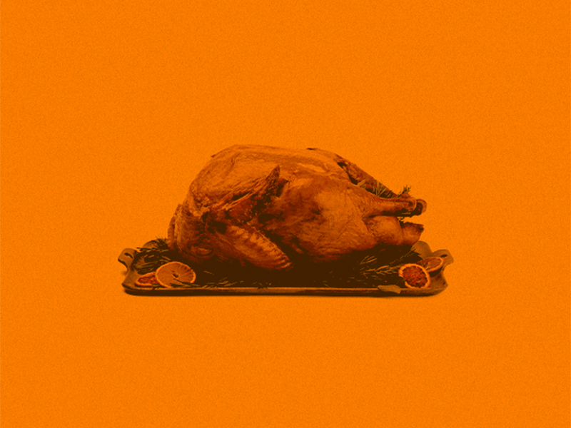 Turkey Fiasco branding event fiasco futura gif orange thanksgiving turkey type