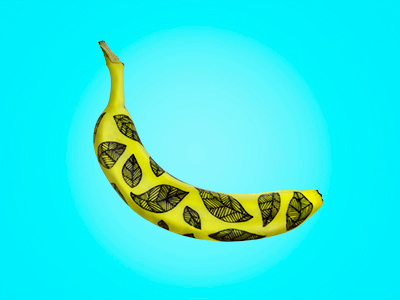 banana banana color drawing fruit pen photo
