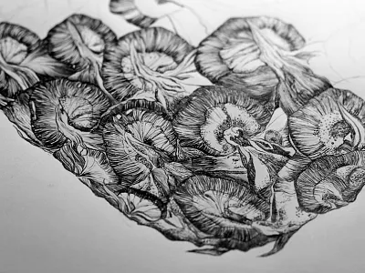 Graphic ananas ananas detailed dots fineart fruit graphic handdrawn illustration lines pencil structure summer