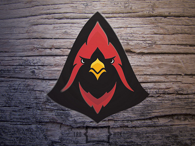 Cardinal bird branding cardinal identity sports branding sports identity sports logo