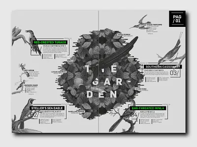 Fanzine - GrayBirds fadu fanzine graybirds uba
