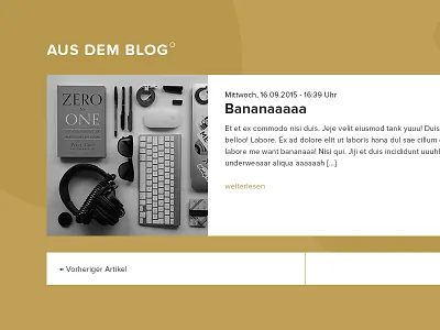 FEDERLIGHT Branding Web #1 agency blog branding federlight gold portfolio redesign web white