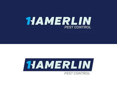 Hamerlin logo v2 branding hamerlin logo