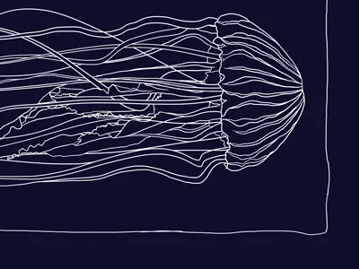 laura's jellyfish fish jellyfish nautical navy sketchy wacom