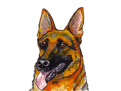 German Shepherd art copics dog german shepherd illustration