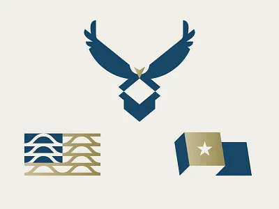 U.S. Packaging box eagle flag packaging u.s.a. american