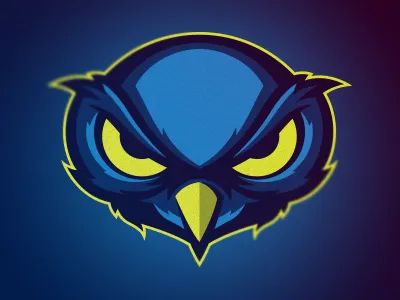 Night Owl logo sports