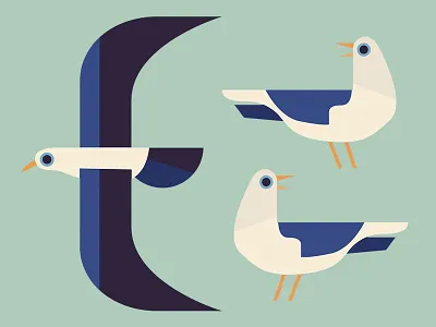 Start Seagulls bird seagull